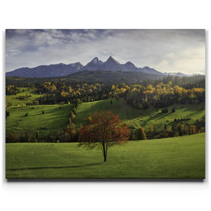 Autumn in the Tatras - Tatra Mountains, Slovakia
