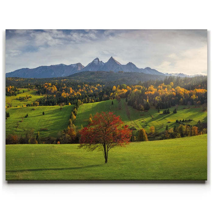 Featured image 1 for Autumn in the Tatras - Tatra Mountains, Slovakia