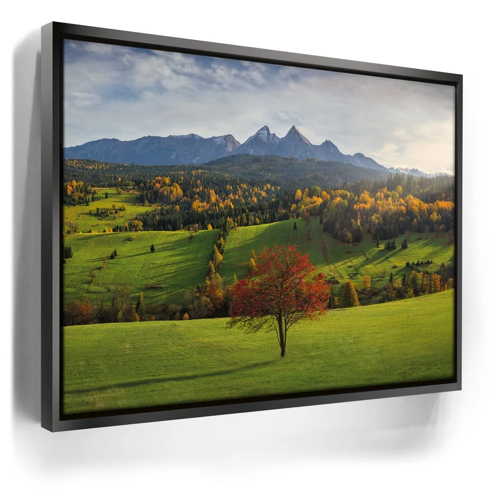 Featured image 5 for Autumn in the Tatras - Tatra Mountains, Slovakia