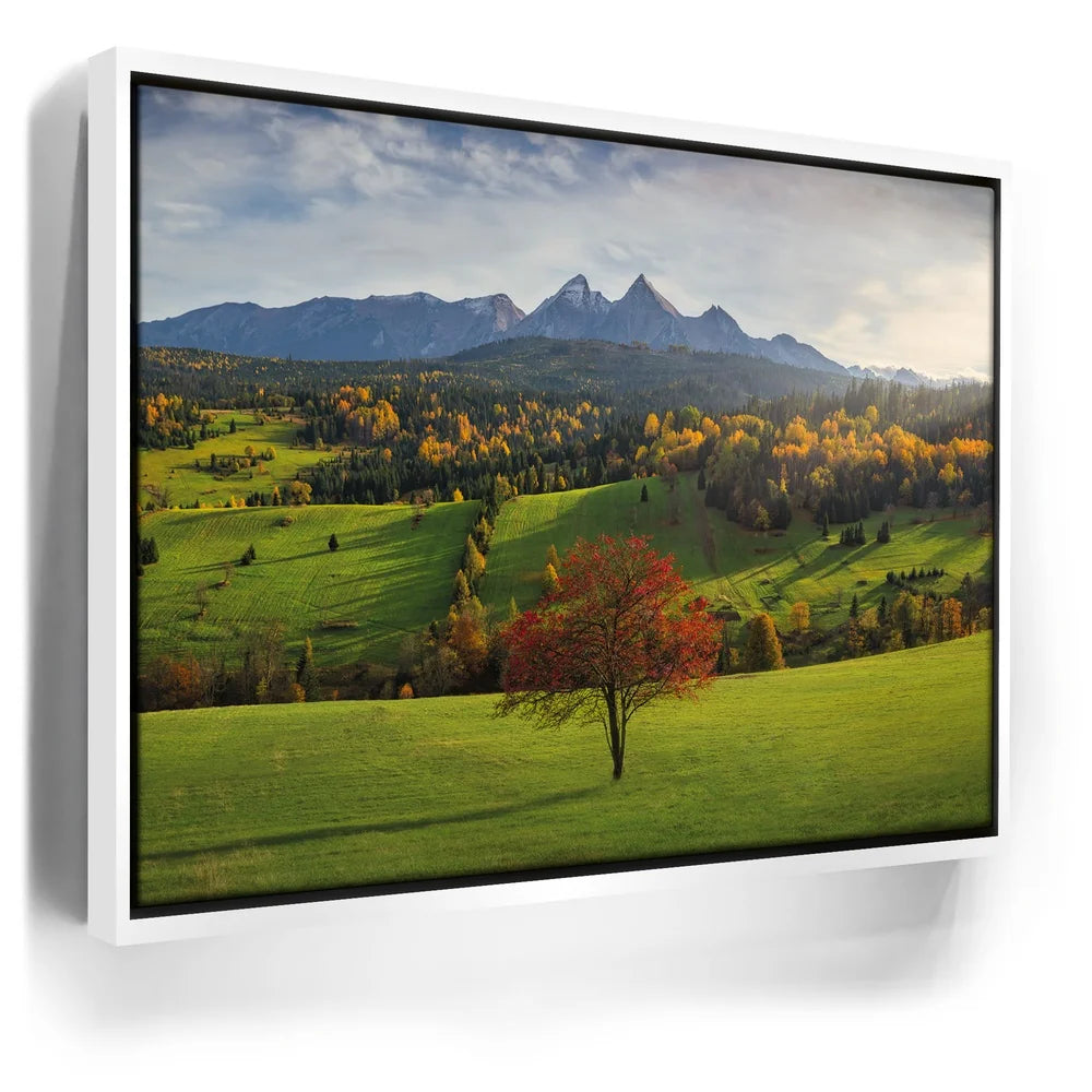 Featured image 6 for Autumn in the Tatras - Tatra Mountains, Slovakia