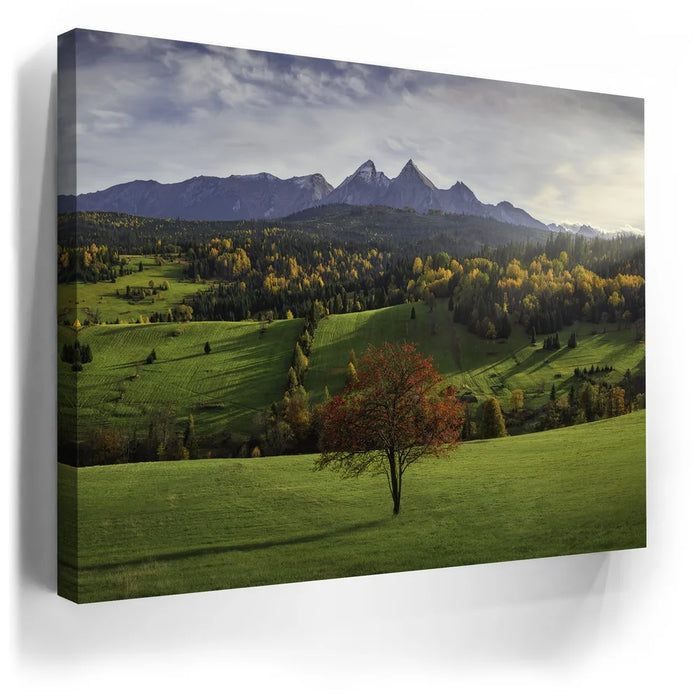Featured image 5 for Autumn in the Tatras - Tatra Mountains, Slovakia
