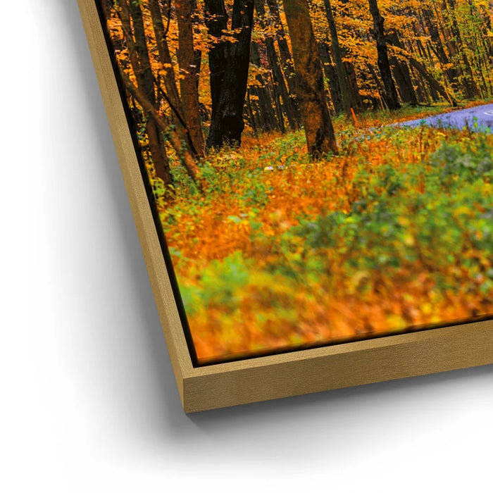 Featured image 12 for Autumn Journey