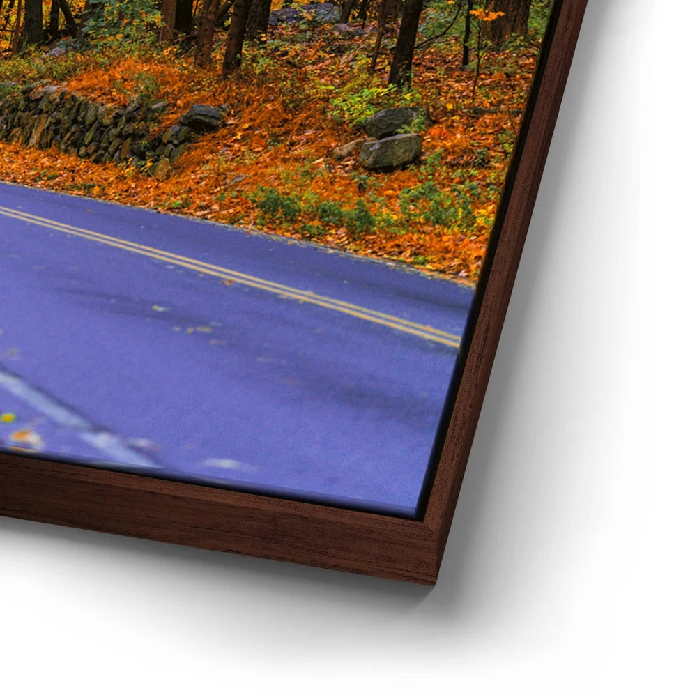 Featured image 14 for Autumn Journey