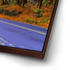 Thumbnail image 14 for Autumn Journey