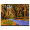 Featured image 1 for Autumn Journey