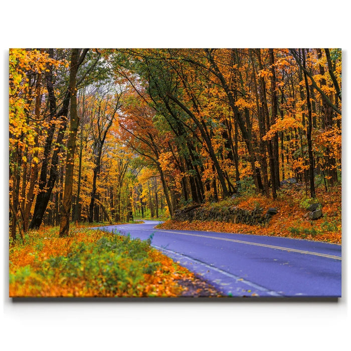 Featured image 1 for Autumn Journey