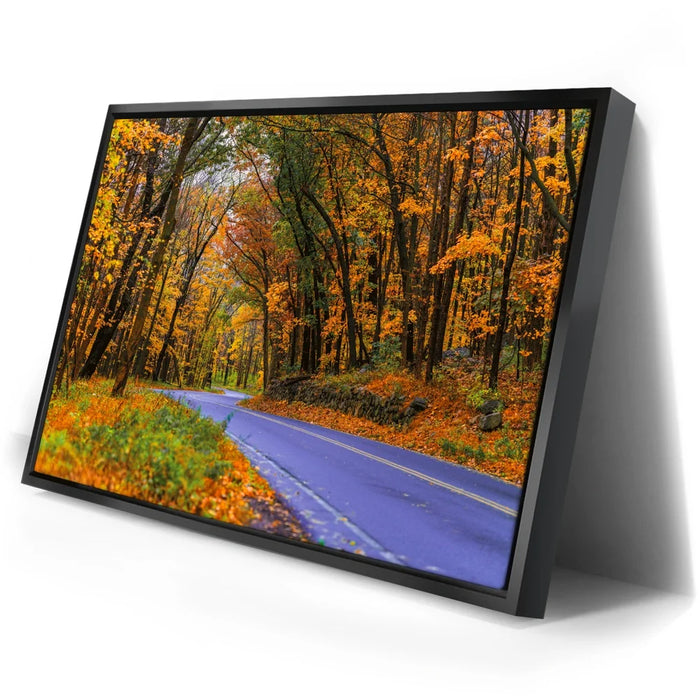 Featured image 2 for Autumn Journey