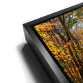 Thumbnail image 11 for Autumn Journey