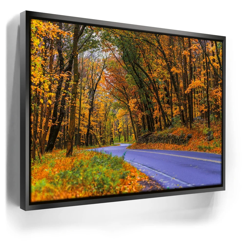 Featured image 5 for Autumn Journey