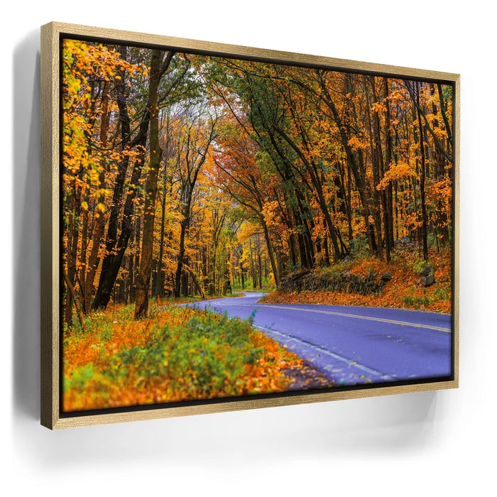 Featured image 7 for Autumn Journey