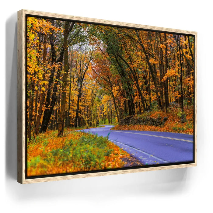 Featured image 9 for Autumn Journey