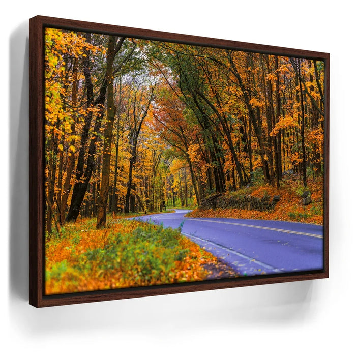 Featured image 10 for Autumn Journey