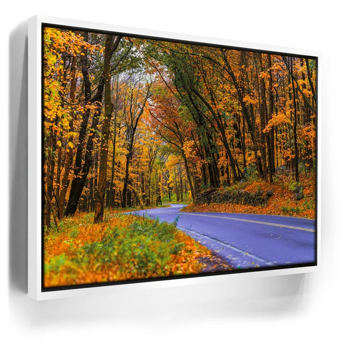 Featured image 6 for Autumn Journey