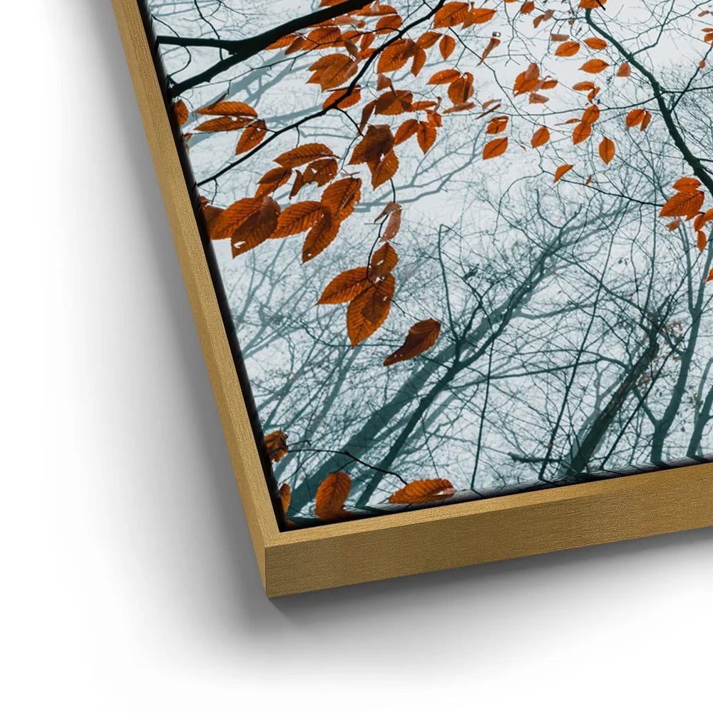 Featured image 12 for Autumn Rise