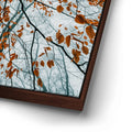 Thumbnail image 14 for Autumn Rise