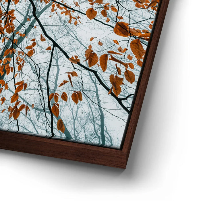 Featured image 14 for Autumn Rise