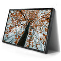 Thumbnail image 2 for Autumn Rise