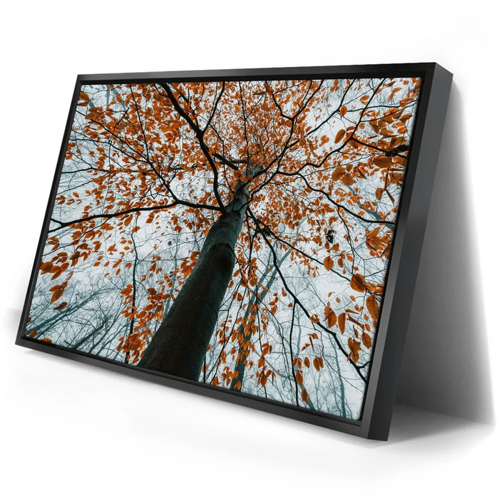 Featured image 2 for Autumn Rise