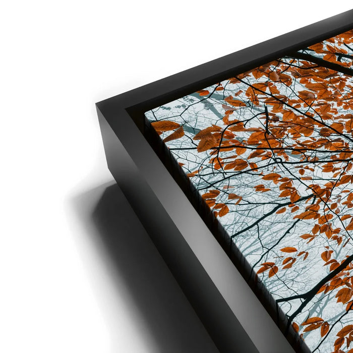 Featured image 11 for Autumn Rise