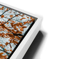 Thumbnail image 13 for Autumn Rise