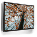 Featured image 5 for Autumn Rise