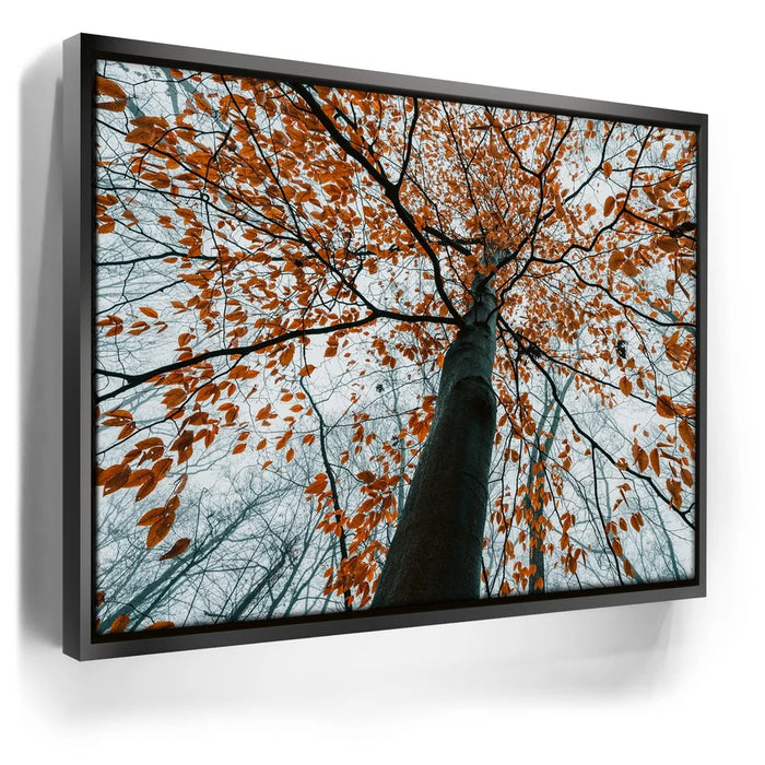 Featured image 5 for Autumn Rise