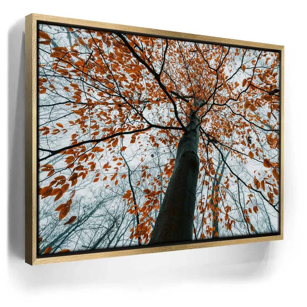 Featured image 7 for Autumn Rise