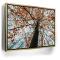 Featured image 7 for Autumn Rise