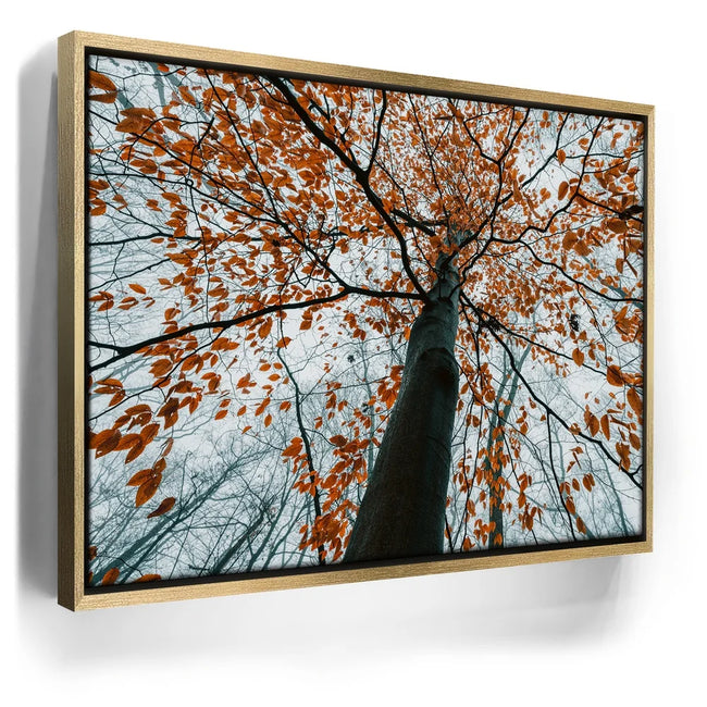 Featured image 7 for Autumn Rise