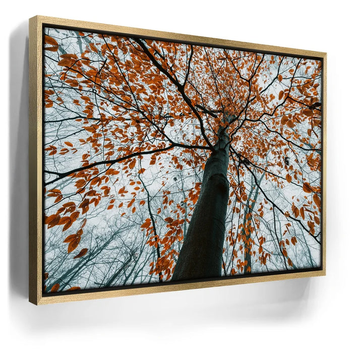 Featured image 7 for Autumn Rise