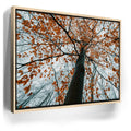 Featured image 9 for Autumn Rise