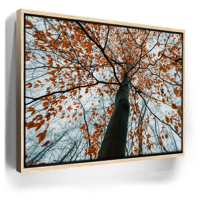 Featured image 9 for Autumn Rise