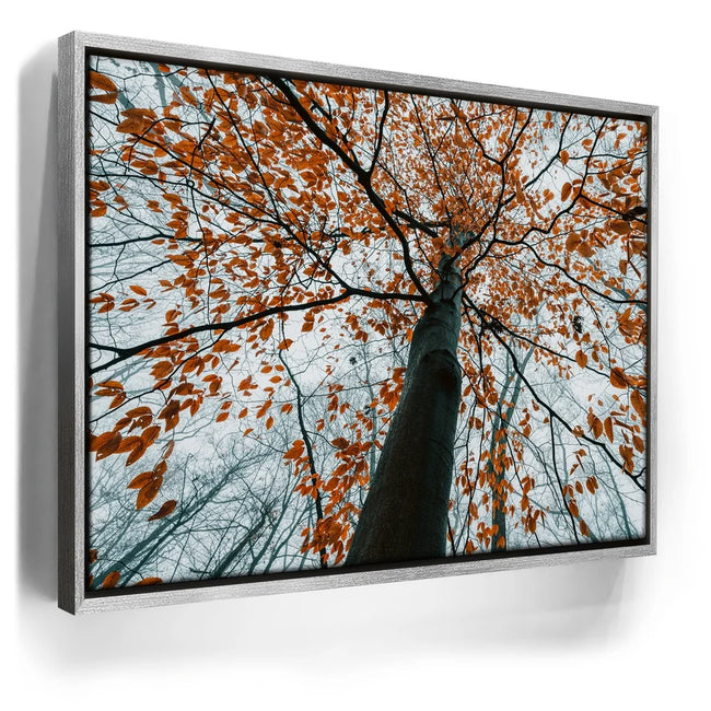 Featured image 8 for Autumn Rise