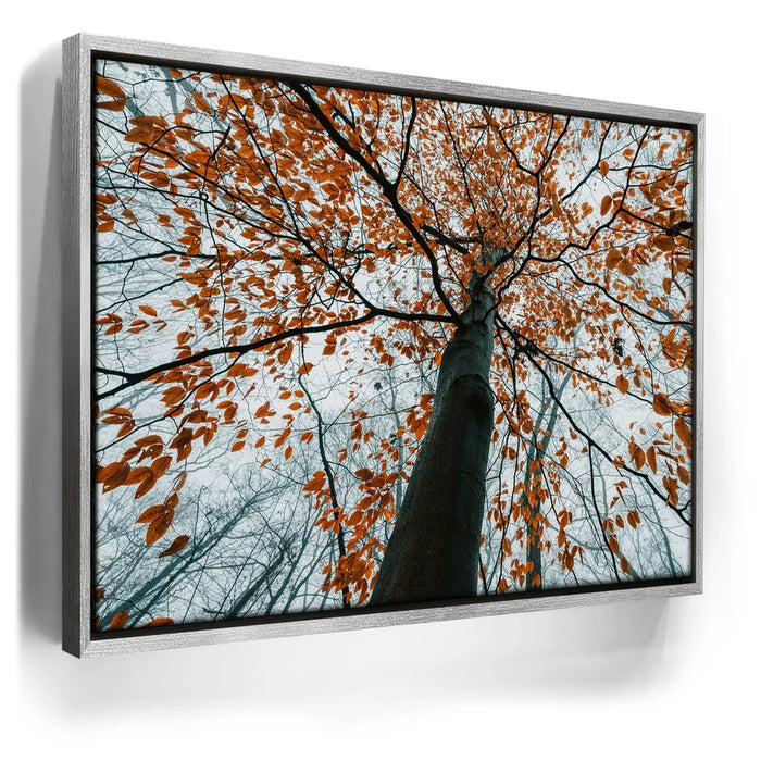 Featured image 8 for Autumn Rise