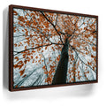 Featured image 10 for Autumn Rise