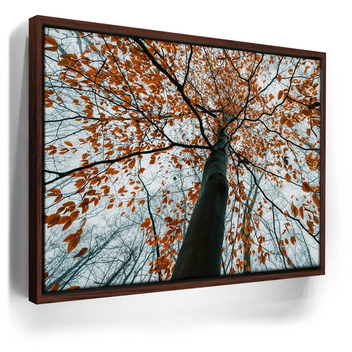 Featured image 10 for Autumn Rise