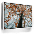 Featured image 6 for Autumn Rise