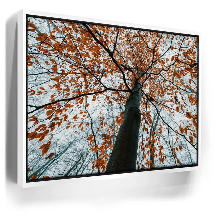 Featured image 6 for Autumn Rise