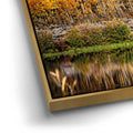 Thumbnail image 12 for Autumn River