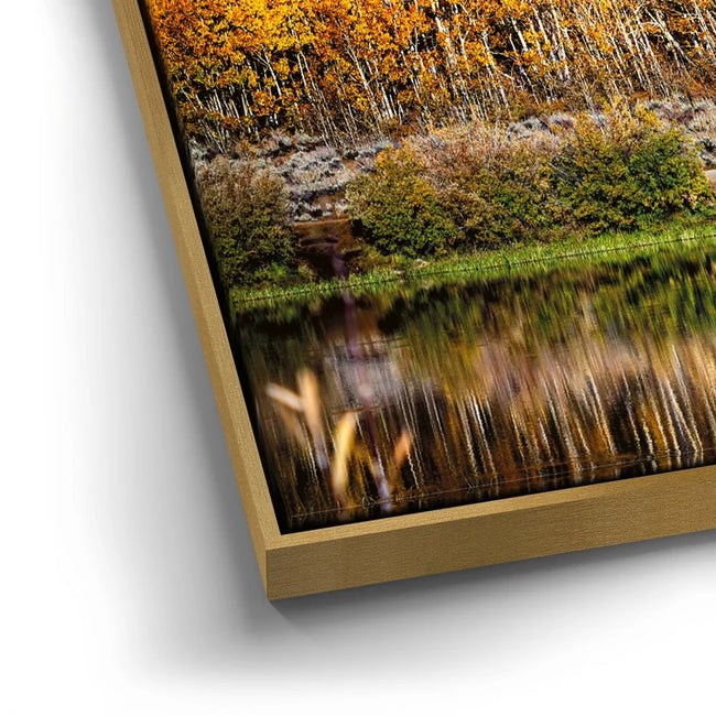 Featured image 12 for Autumn River
