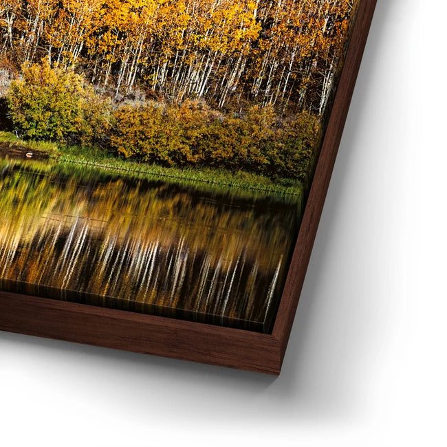 Featured image 14 for Autumn River