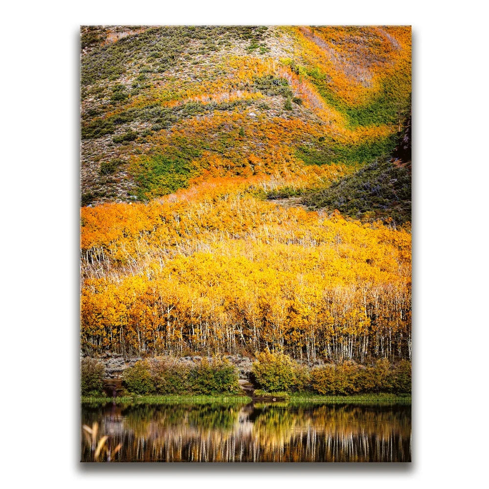 Featured image 1 for Autumn River
