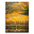 Featured image 1 for Autumn River