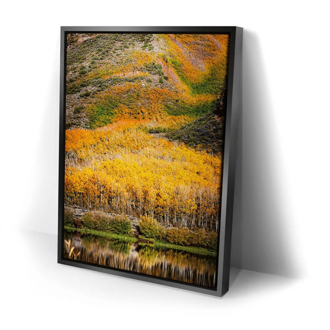 Featured image 2 for Autumn River