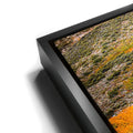 Thumbnail image 11 for Autumn River