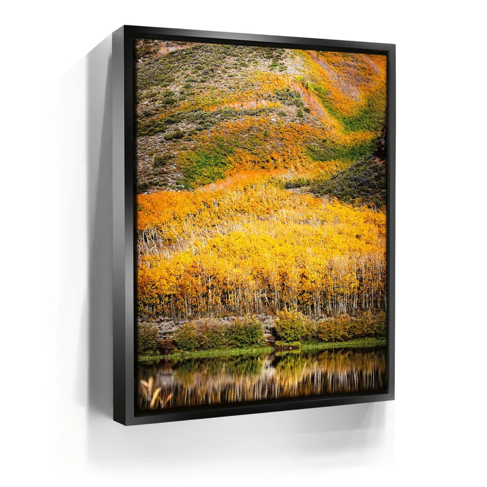 Featured image 5 for Autumn River