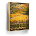 Featured image 7 for Autumn River