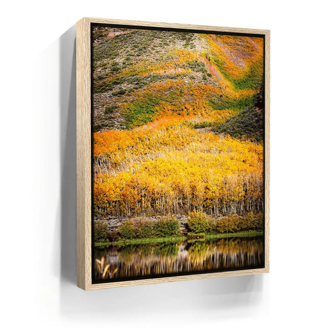 Featured image 9 for Autumn River