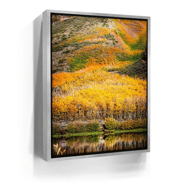 Featured image 8 for Autumn River