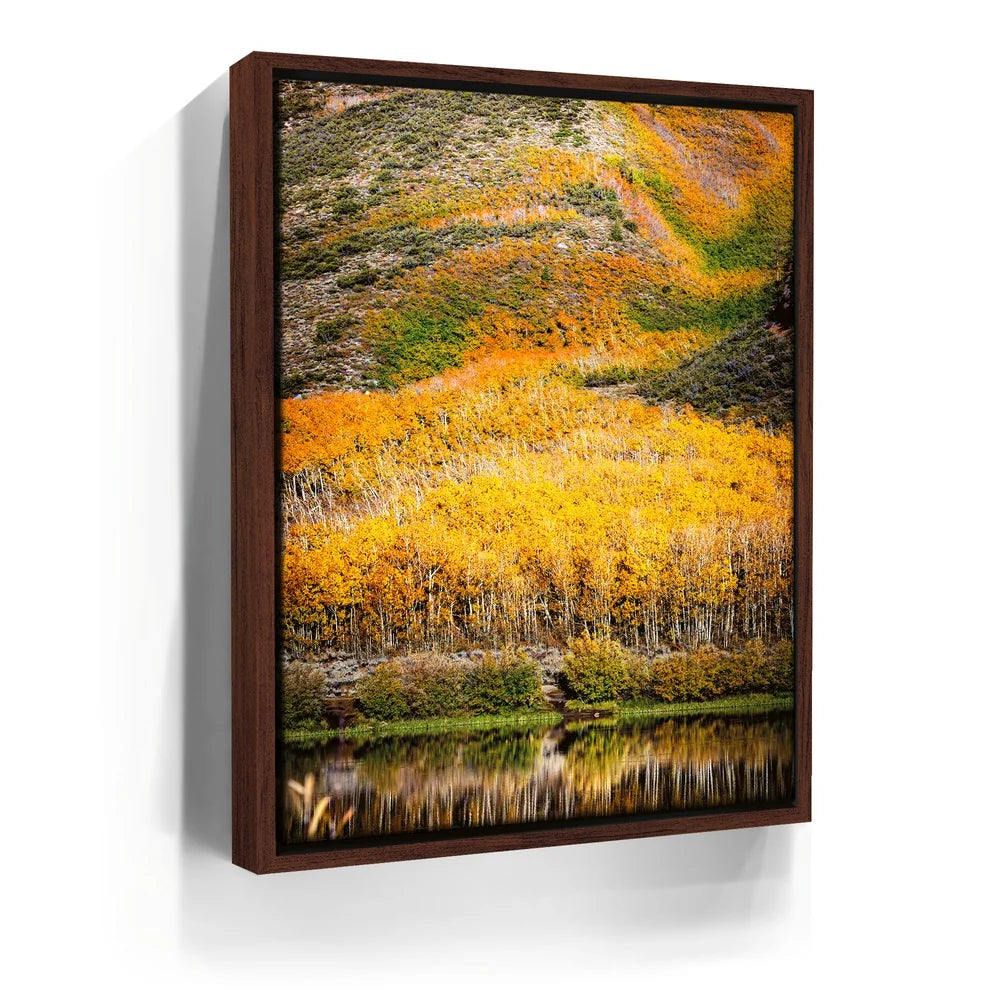 Featured image 10 for Autumn River